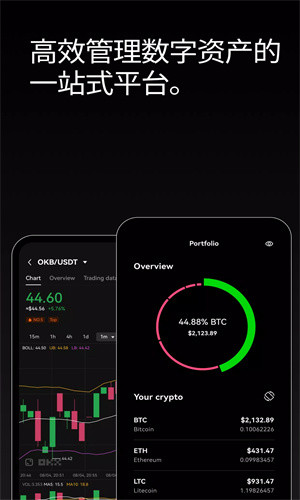 ok虚拟币交易所app下载 okex欧交易所2025版