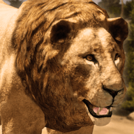 狮王模拟器