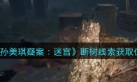 孙美琪疑案：迷宫五级线索——断树