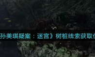 孙美琪疑案：迷宫五级线索——树桩
