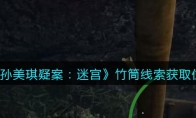 孙美琪疑案：迷宫五级线索——竹筒
