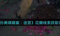 孙美琪疑案：迷宫四级线索——花瓣
