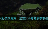 孙美琪疑案：迷宫五级线索——小青蛙