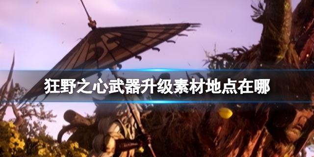 狂野之心武器升级素材地点