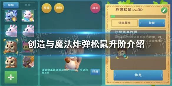 创造与魔法炸弹松鼠怎么进阶，进阶攻略炸弹松鼠制霸