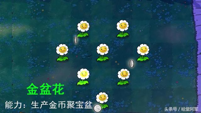 植物大战僵尸2聚宝盆要买吗