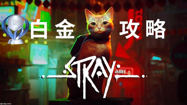 stray迷失电缆获取方法，迷失Stray全收集攻略