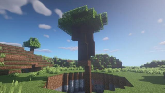 我的世界怎么种深色橡木树
