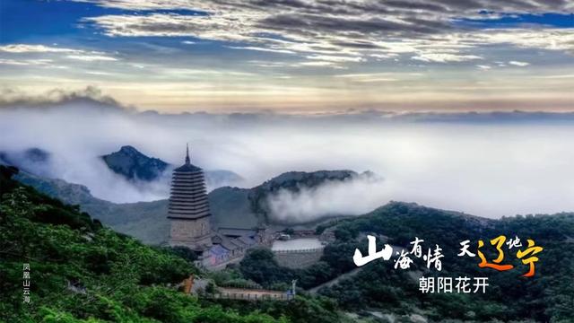 山海朝阳花采集攻略