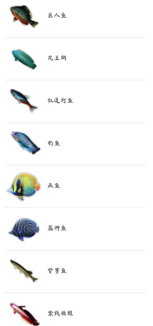 妄想山海蓝纹蝶鱼有什么用