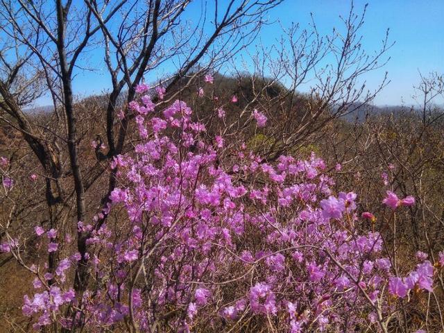 勇闯一线天角色，五仙女闯天女山