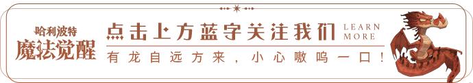 哈利波特魔法觉醒中国龙，中国火球幼龙炫目登场