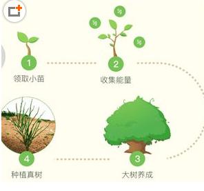 蚂蚁森林保护罩怎么兑换，蚂蚁森林保护罩获取及作用