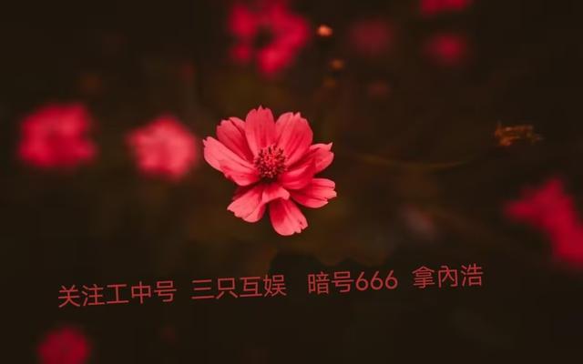 纳萨力克之王角色攻略大全