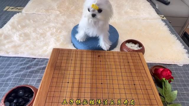 五子棋必胜阵法有什么