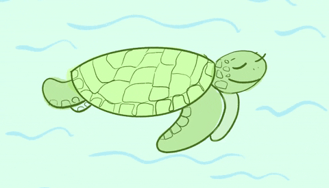 100个细思极恐海龟汤大全，细思极恐的海龟汤游戏解谜攻略