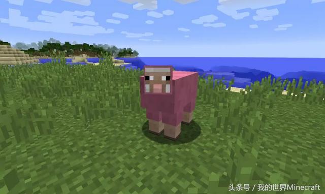 我的世界遇见粉色羊的概率，1只粉红羊几率524分之1