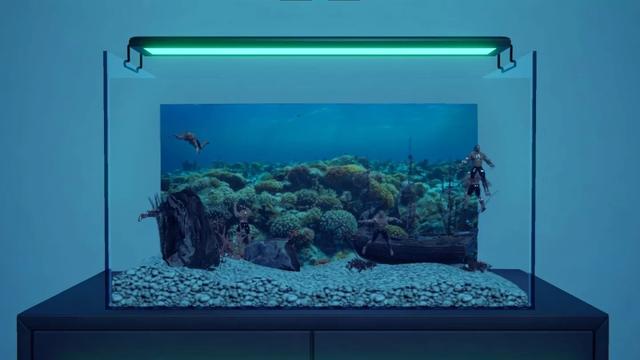 肌肉水族馆模拟器上架Steam