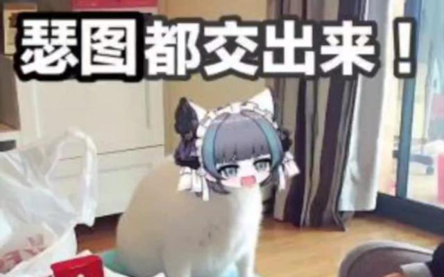 碧蓝航线新皮肤