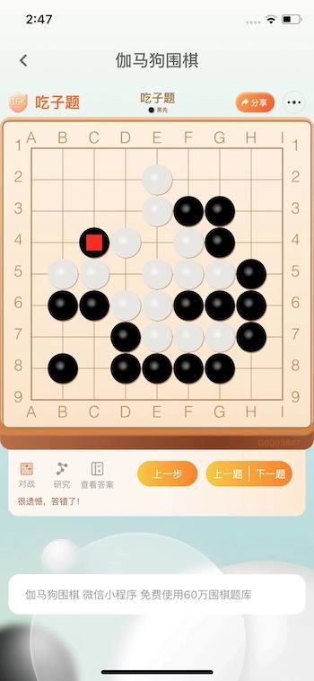 伽马狗围棋