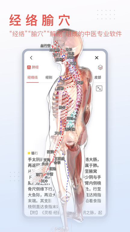 3dbody解剖学软件下载
