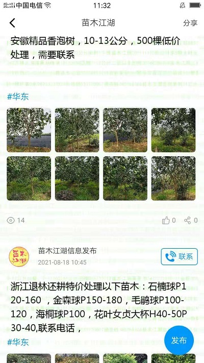 苗木江湖app下载