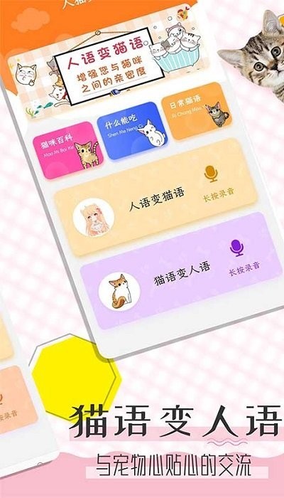 猫语翻译宝软件下载