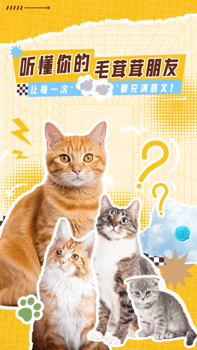 猫语翻译神器官方下载