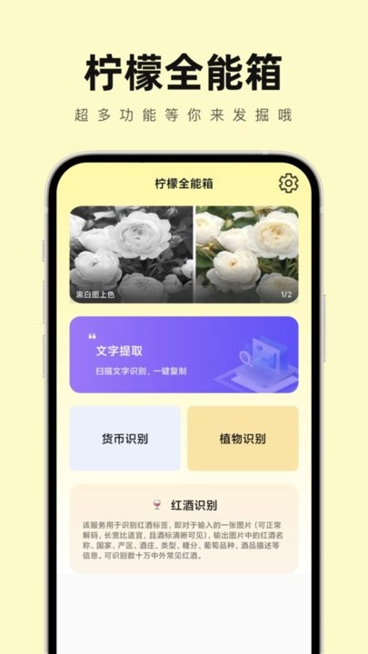 柠檬全能箱app下载