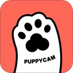 puppycam智能宠物喂食器