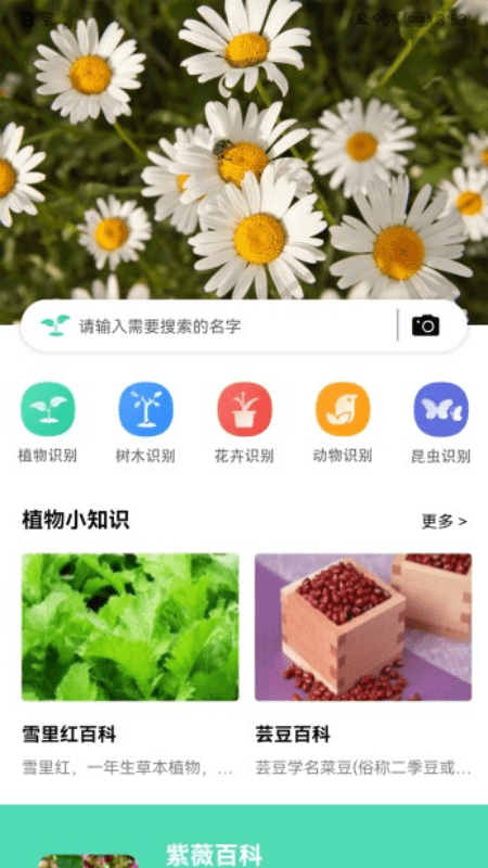 全能拍照识图