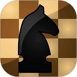 棋院国际象棋