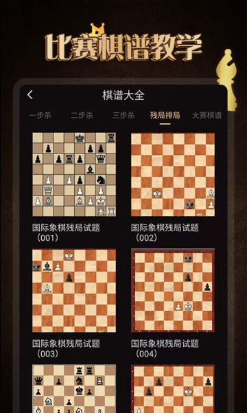 棋院国际象棋