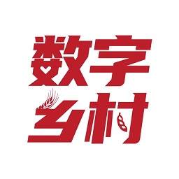 数字乡镇