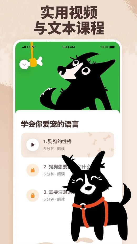 woofz狗狗培训