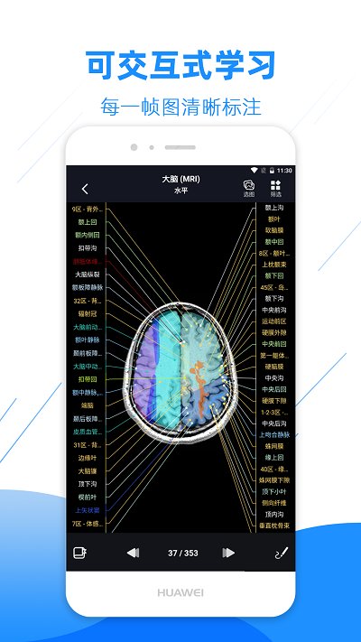 影像解剖图谱