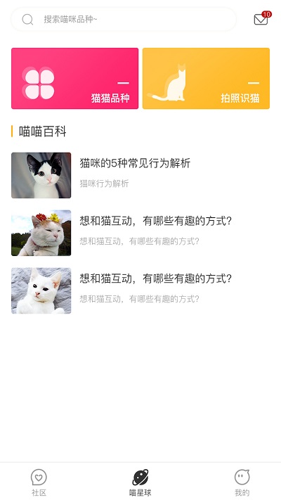 云养猫