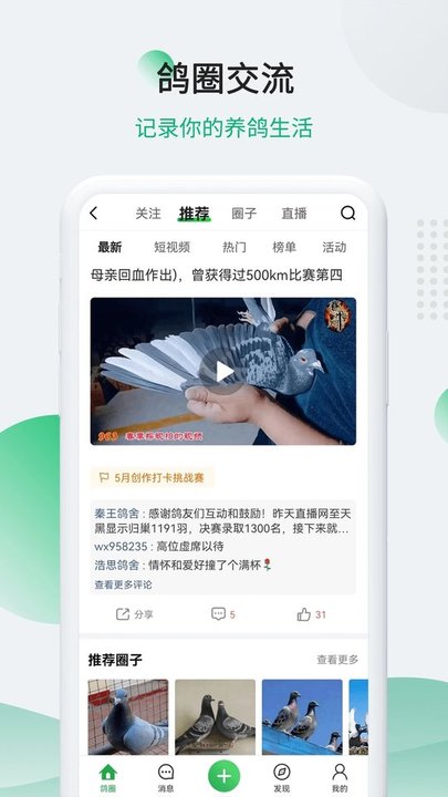 中国信鸽信息网拍卖平台下载