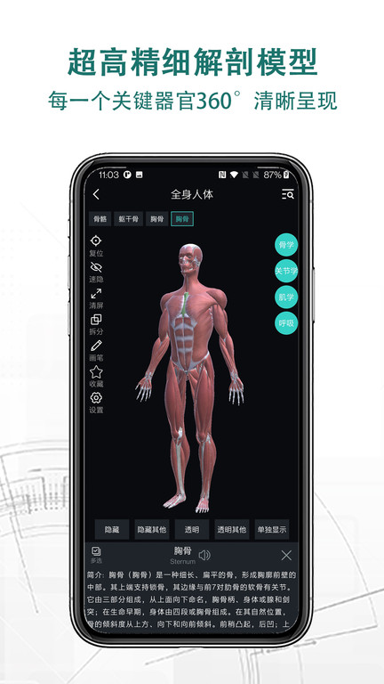 掌上3d解剖软件下载