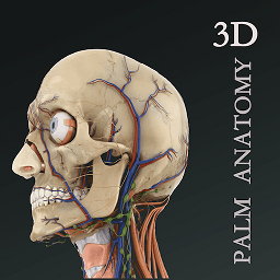 掌上3d解剖